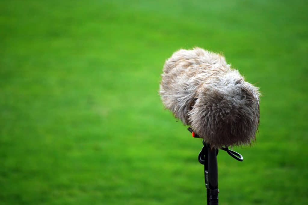 What is the Best Microphone for Outdoor Interviews? TSP